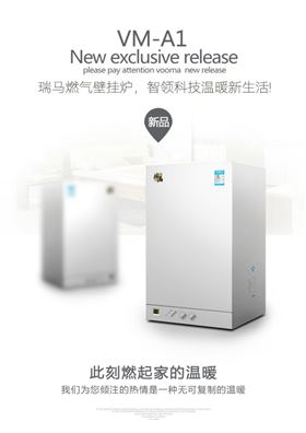 天然氣政策的逐步完善，促進壁掛爐行業(yè)大力發(fā)展22